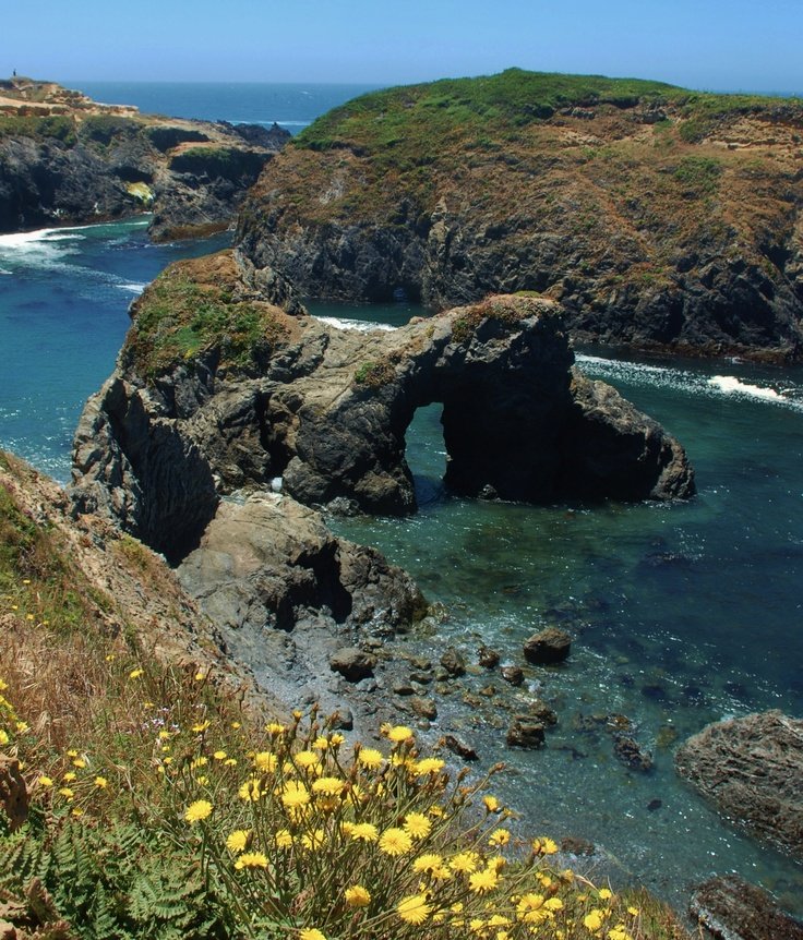 This may contain: the ocean is clear and blue with yellow flowers in front of some rocky coastlines