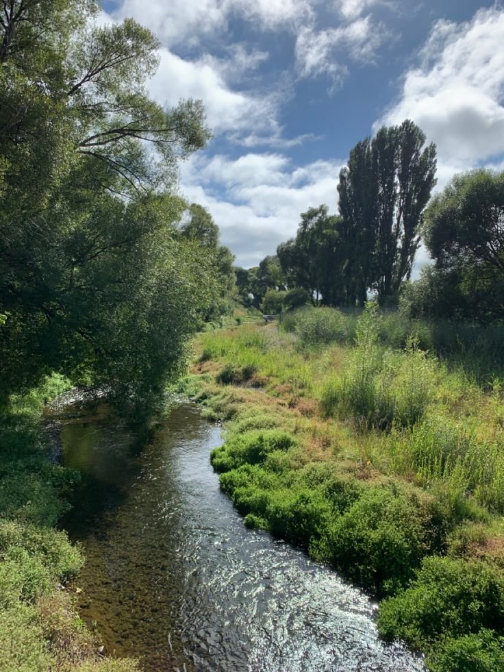 This may contain: a small stream running through a lush green forest filled with trees and grass under a cloudy blue sky