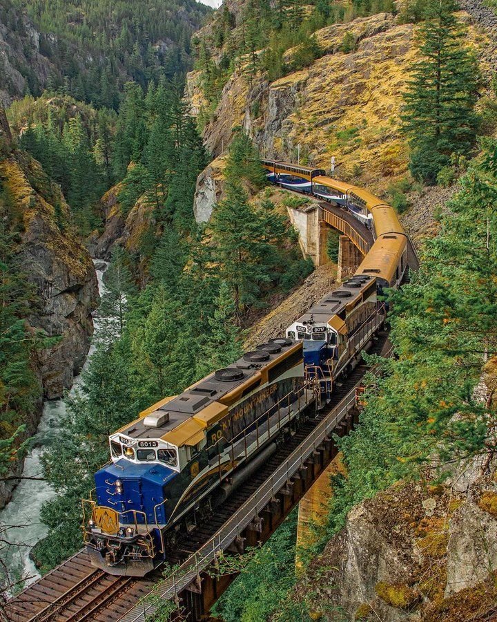 This may contain: a blue and yellow train traveling over a bridge next to a forest filled with trees