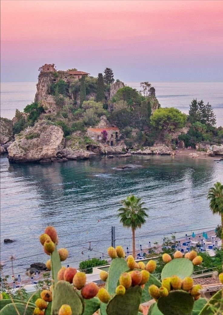 This may contain: an island sits in the middle of a body of water surrounded by palm trees and other vegetation