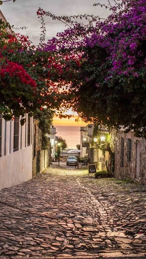 This may contain: an old cobblestone street with cars parked on the side and flowers growing over it