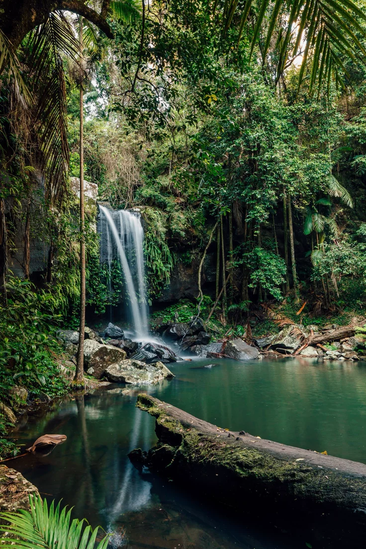 This may contain: a small waterfall in the middle of a forest