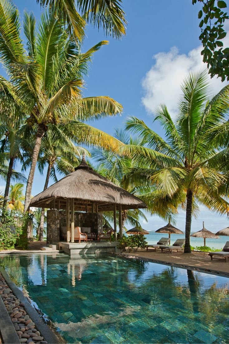 This may contain: an outdoor swimming pool surrounded by palm trees