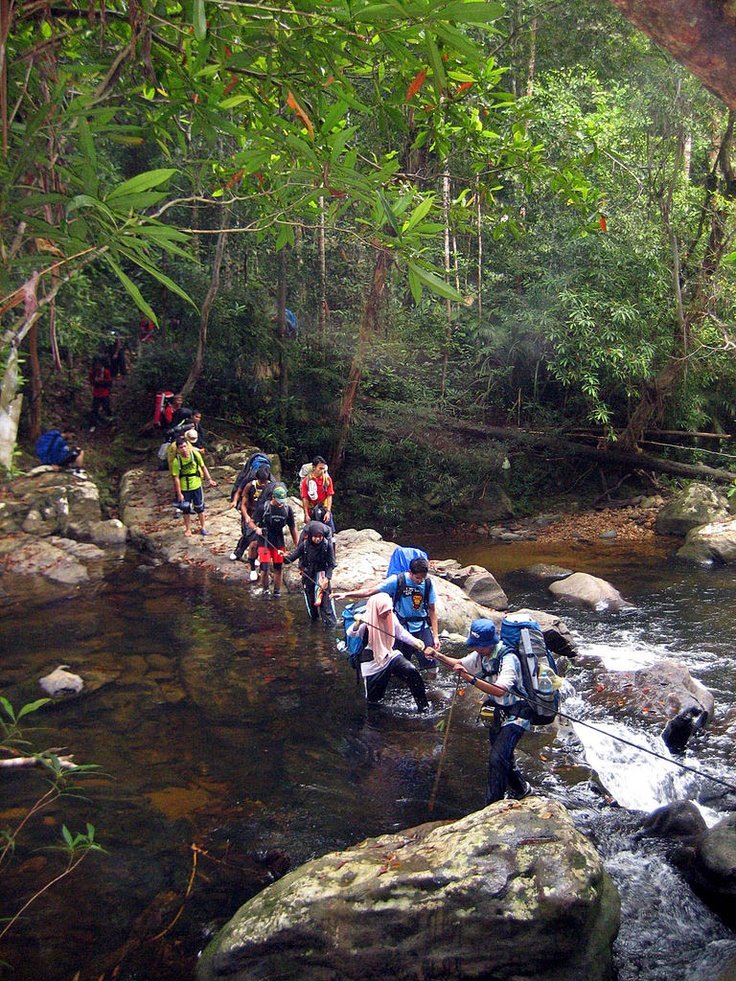This may contain: several people are crossing a stream in the woods with backpacks on their backs and one is holding onto a rope