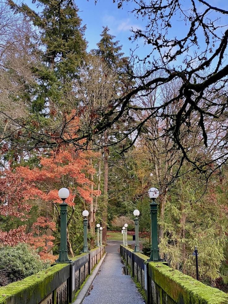 This may contain: a walkway in the middle of a park with lots of trees and bushes on both sides