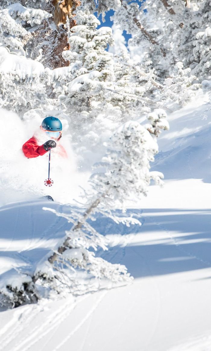 This may contain: a person on skis in the air over snow covered ground with trees behind them