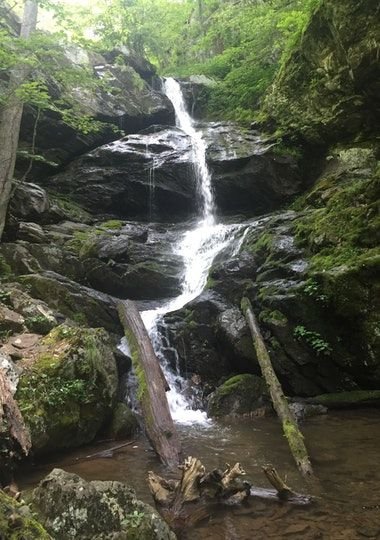This may contain: a small waterfall in the middle of a forest