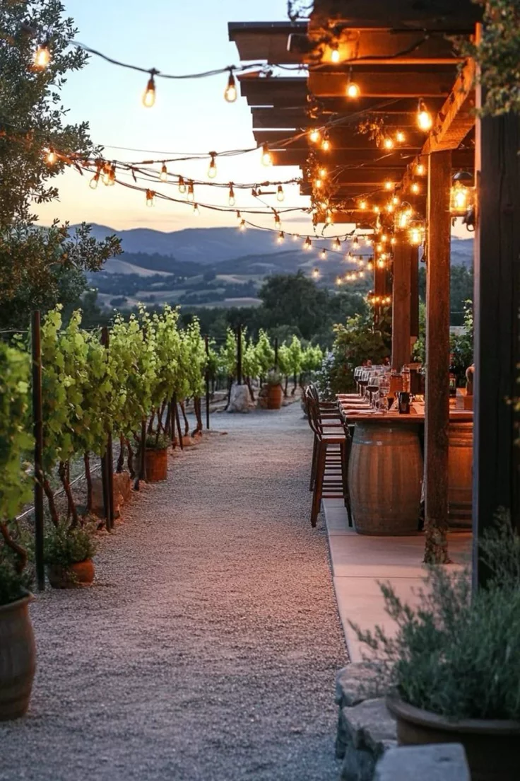 This may contain: an outdoor dining area with lights strung from the ceiling and wooden benches on either side