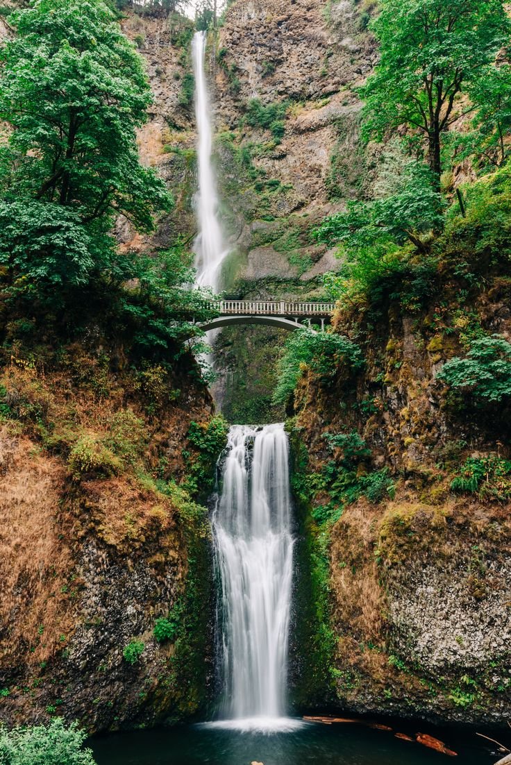 This may contain: a waterfall with a bridge over it in the middle of some trees and bushes on either side