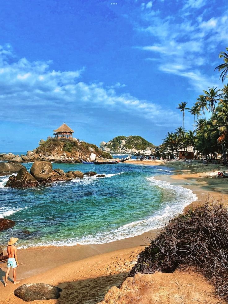 This may contain: a woman is walking on the beach near the water and palm trees in the background