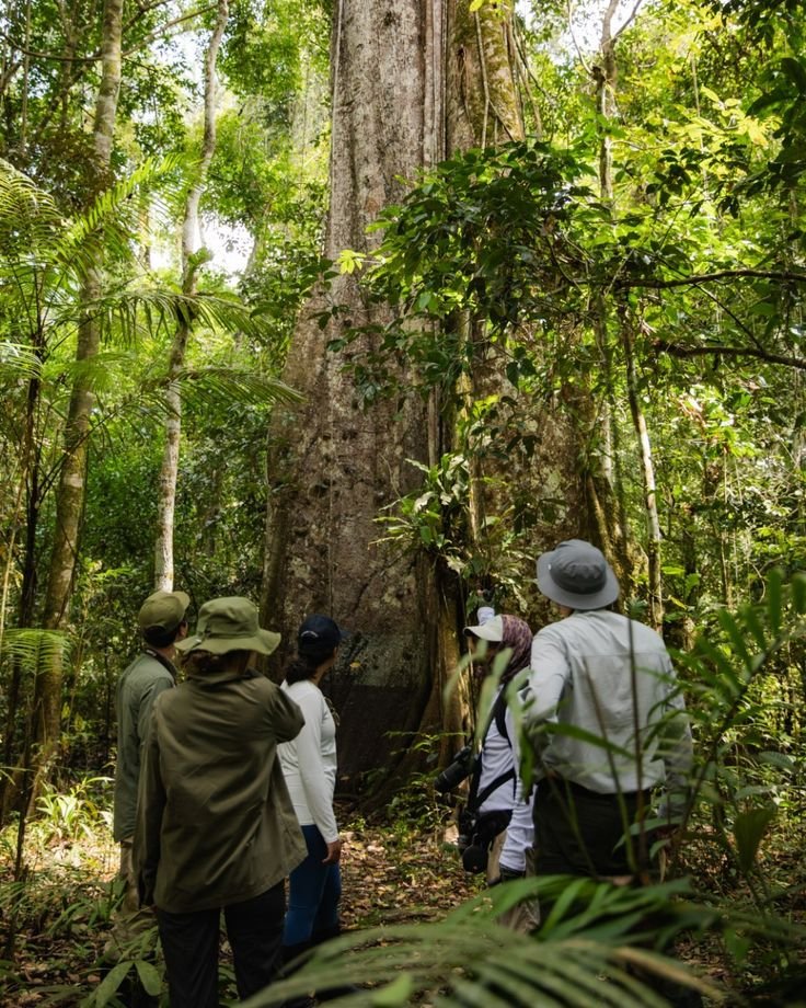 This may contain: three people standing in front of a large tree