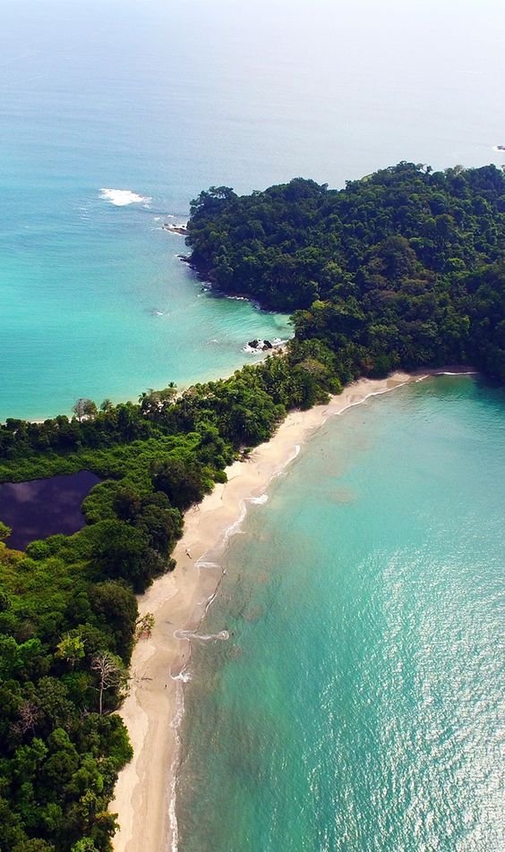 This may contain: an aerial view of the beach and ocean near some green trees in the foreground