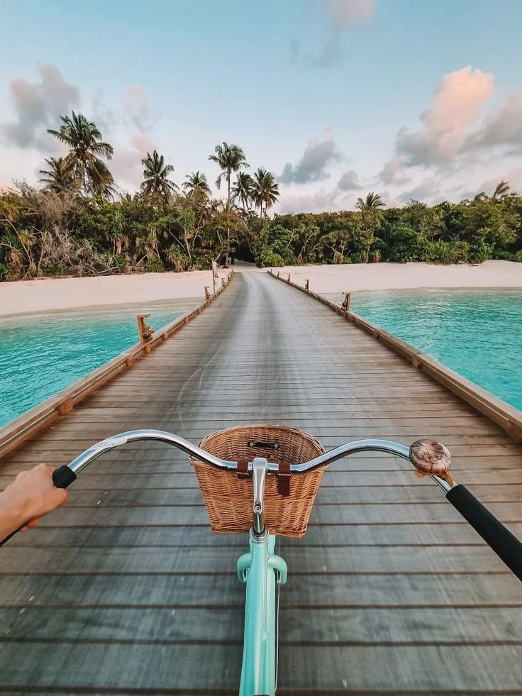 This may contain: a person riding a bike on a wooden bridge over water with palm trees in the background