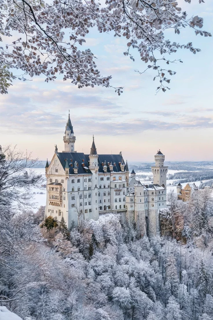 This may contain: an aerial view of a castle in the winter with snow on the ground and trees