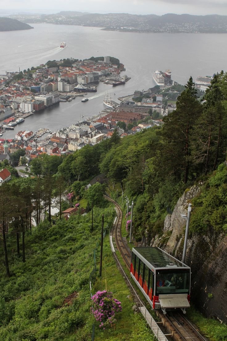 This may contain: a train traveling down tracks next to a lush green hillside covered in trees and flowers