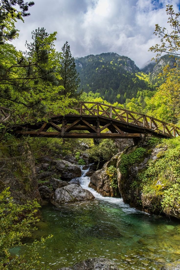 This may contain: a wooden bridge over a river surrounded by trees and mountains in the distance with water running under it