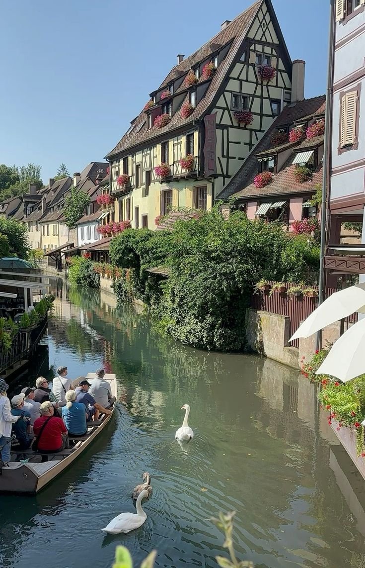 This may contain: people are riding in a boat on the water near buildings and swans swimming around them
