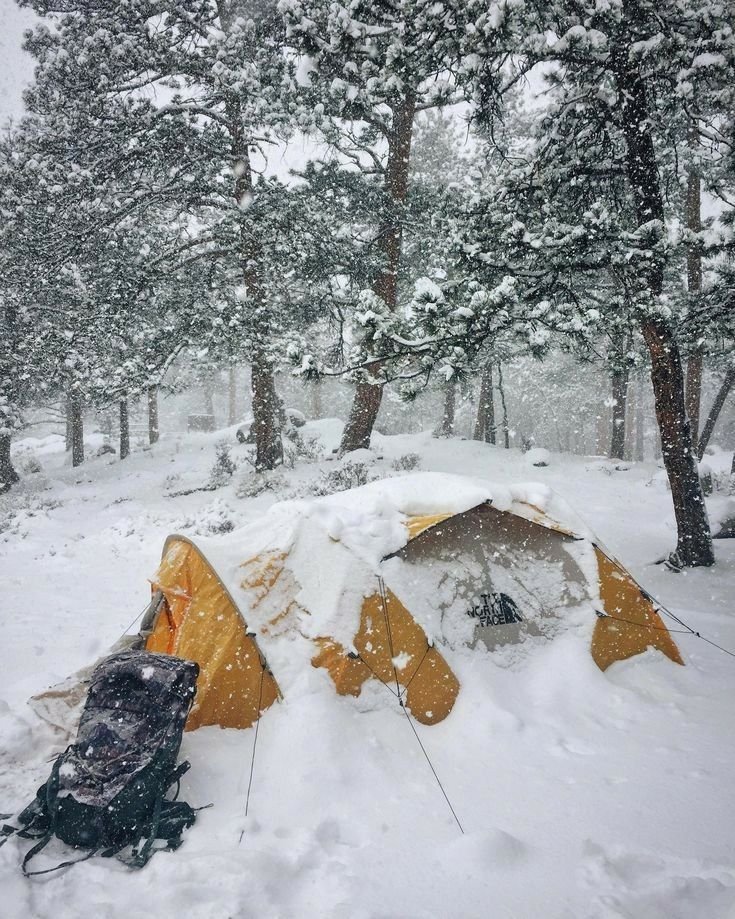 This may contain: two tents pitched up in the snow with trees behind them and one tent covered in snow
