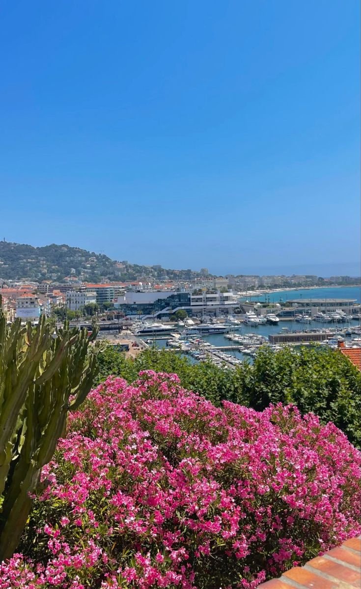 This may contain: pink flowers are blooming in the foreground, with boats docked in the background