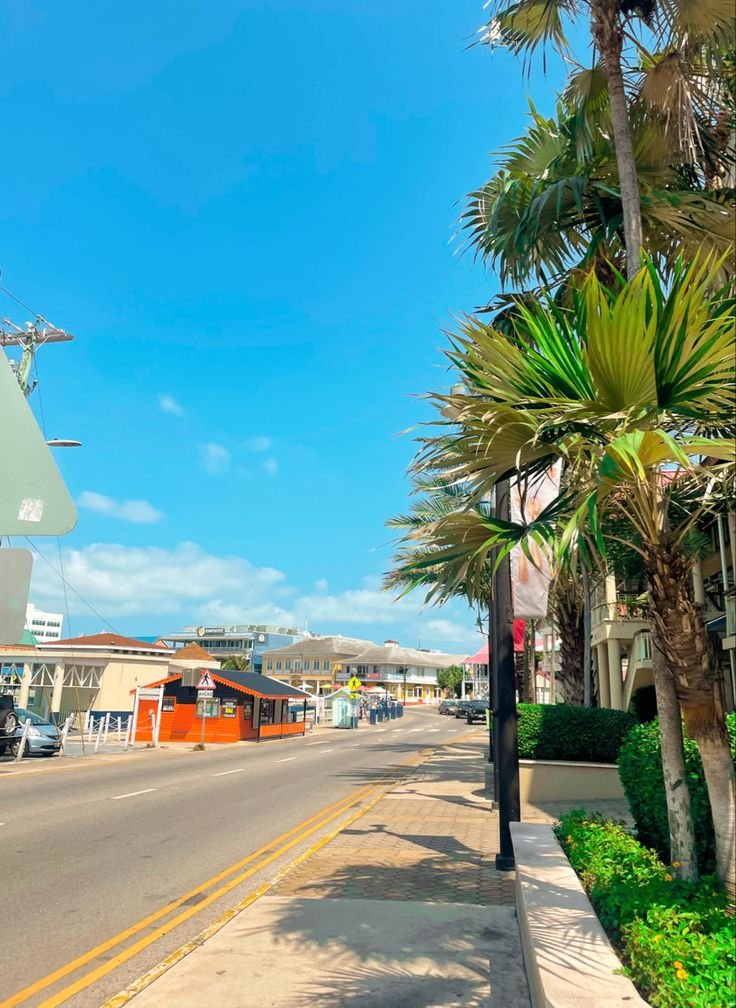 This may contain: a street with palm trees and buildings on the side
