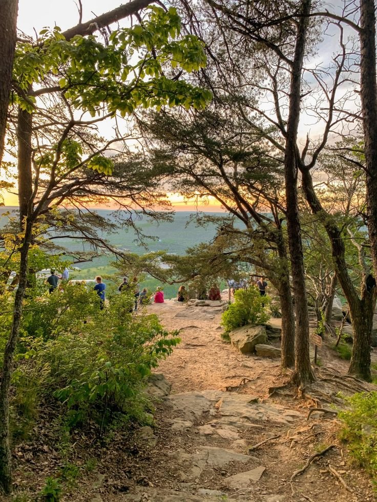This may contain: people are walking up and down the path in the woods near the water at sunset