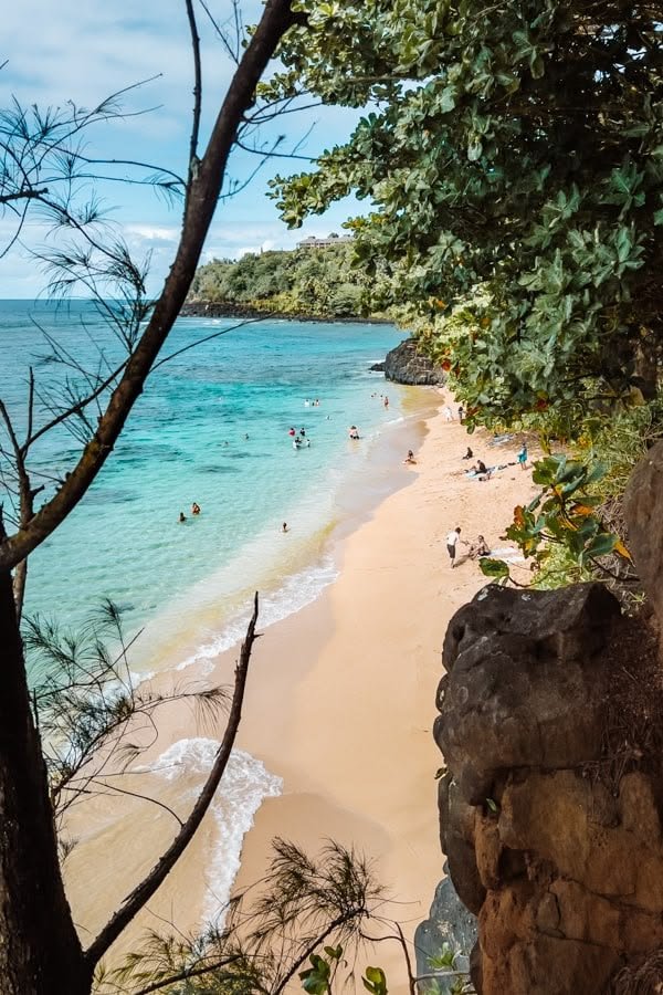 This may contain: people are swimming in the blue water on a beach near some rocks and trees with green leaves