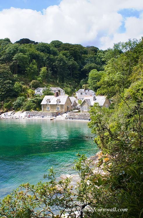 This may contain: houses on the shore of a lake surrounded by trees and bushes, with clear blue water