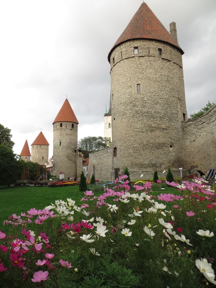 This may contain: flowers are growing in front of an old castle