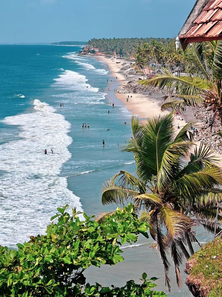 This may contain: the beach is lined with palm trees and people swimming in the ocean on a sunny day