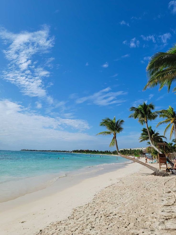This may contain: the beach is lined with palm trees and chairs