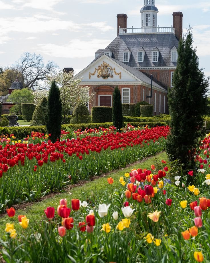 This may contain: tulips and other flowers in front of a large house