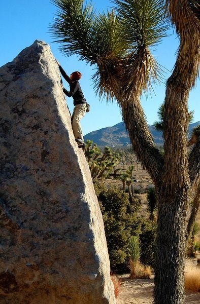 This may contain: a man climbing up the side of a large rock next to a palm tree on top of a hill