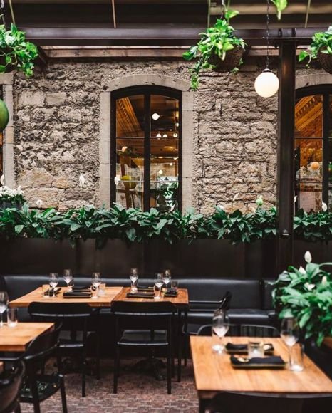This may contain: tables and chairs in a restaurant with plants hanging from the ceiling