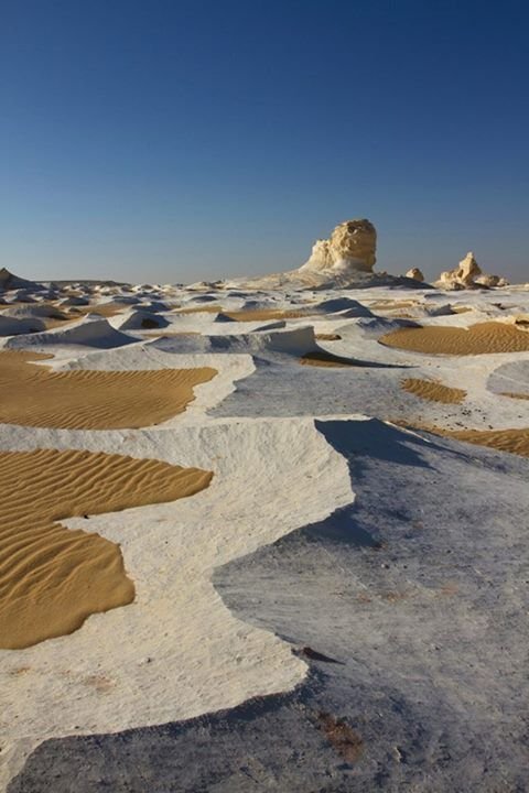 This may contain: the desert is covered in white sand and brown grass, with small rocks sticking out of it