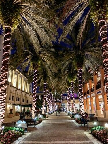 This may contain: the palm trees are lit up at night