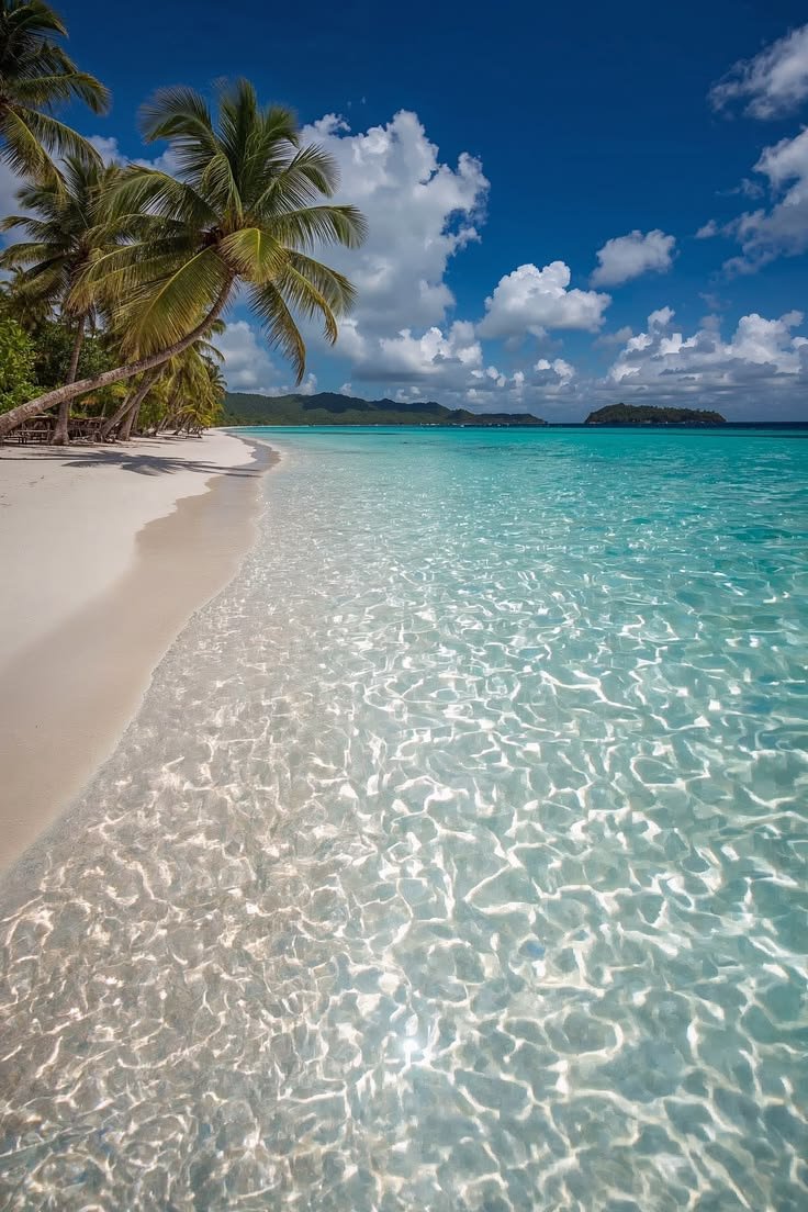 This contains: fotos de playa