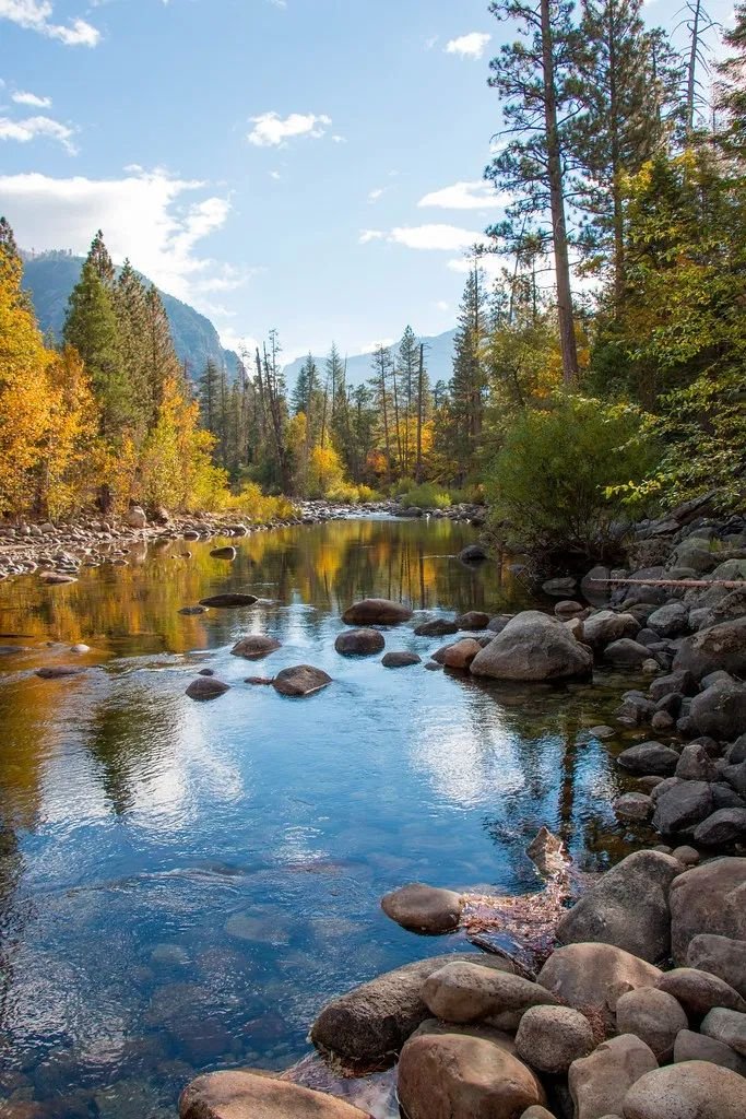 This may contain: a river running through a forest filled with lots of rocks