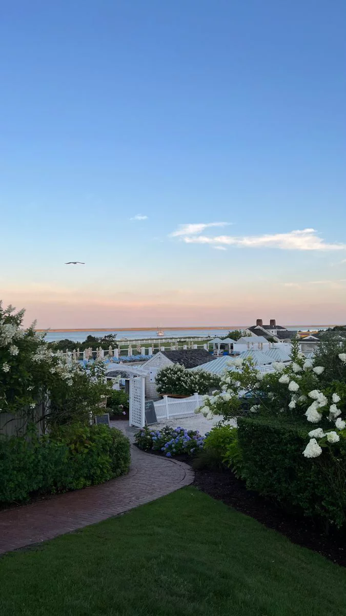 This may contain: a view of the ocean and beach from a garden area with white flowers in bloom
