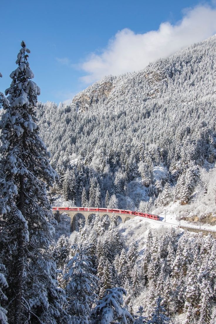 This may contain: a red train traveling through a snow covered forest