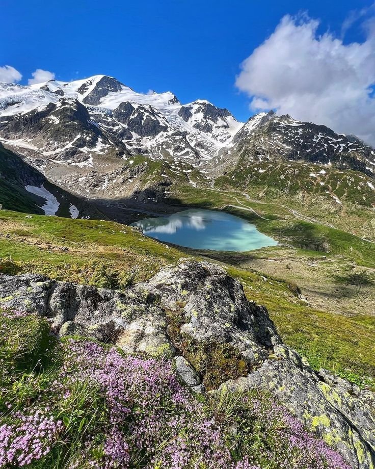 This may contain: the mountains are covered in snow and green grass, with small blue lakes surrounded by purple wildflowers