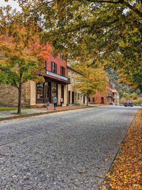 This may contain: an empty street in the fall with leaves on the ground and people walking down it