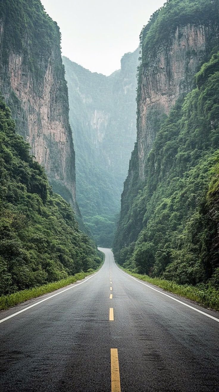 This may contain: an empty road in the middle of mountains with trees on both sides and yellow line down the middle