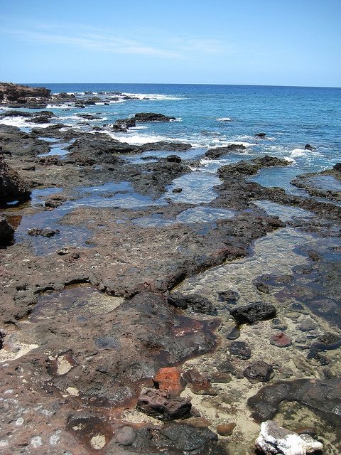 This may contain: the rocks are covered with algae and water
