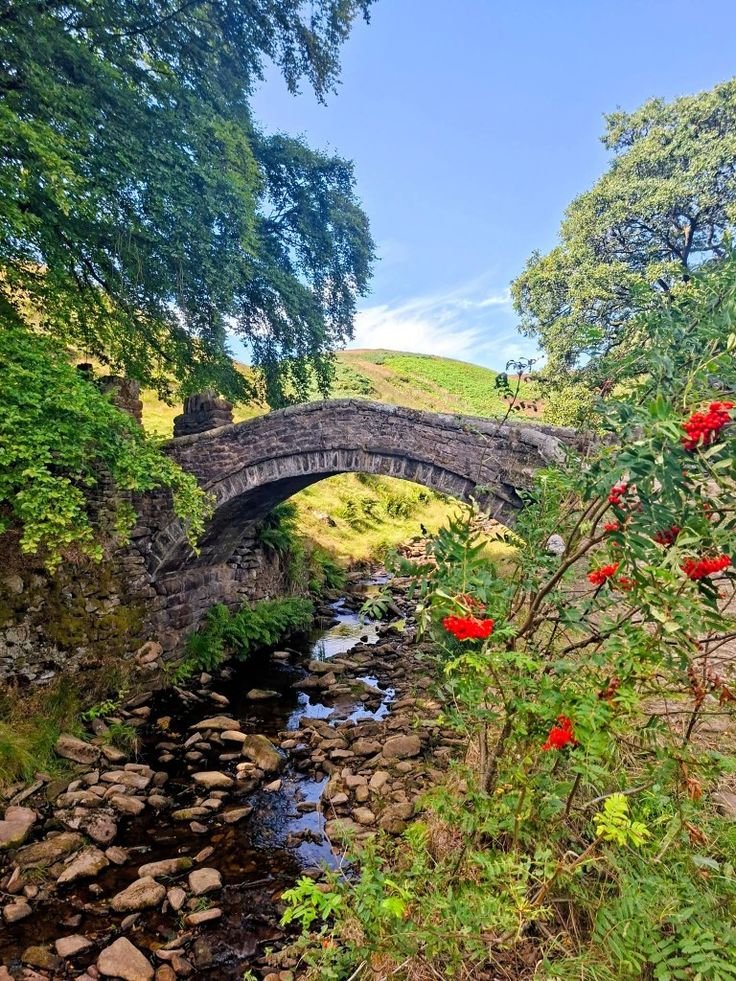 This may contain: a stone bridge over a small stream surrounded by trees and flowers in the foreground