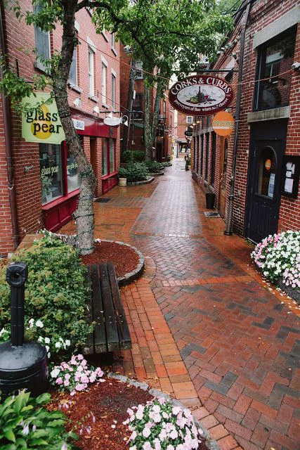 This may contain: a brick street with flowers and trees on both sides, surrounded by red brick buildings