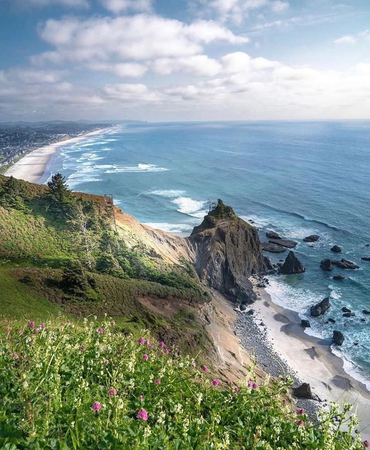 This may contain: the ocean is next to some cliffs and flowers on the side of the road that runs along the beach