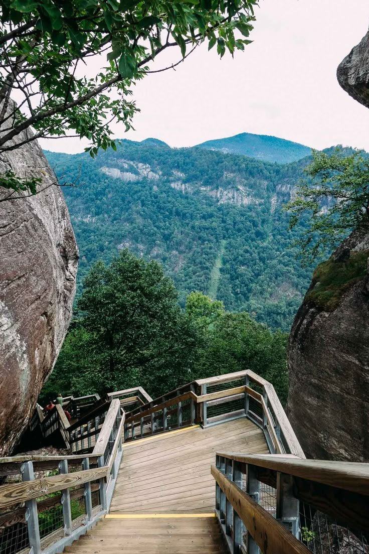 This may contain: a wooden walkway leading to the top of a mountain