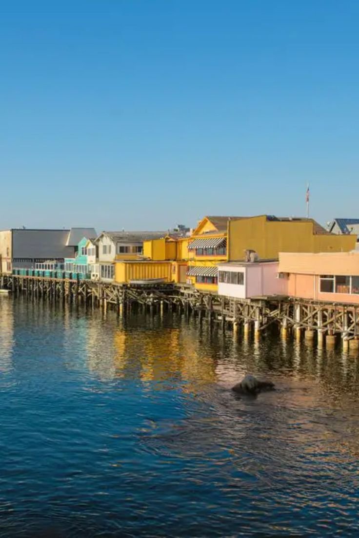 This contains: Old Fisherman’s Wharf