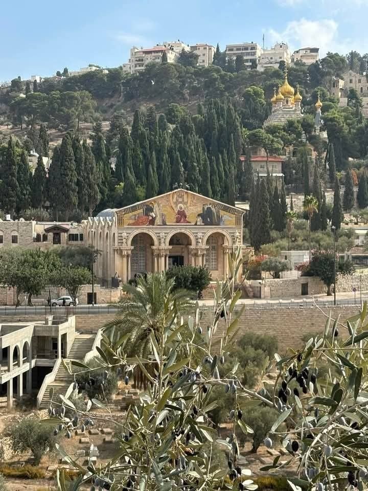 This may contain: an old church on top of a hill with trees in the foreground and buildings behind it