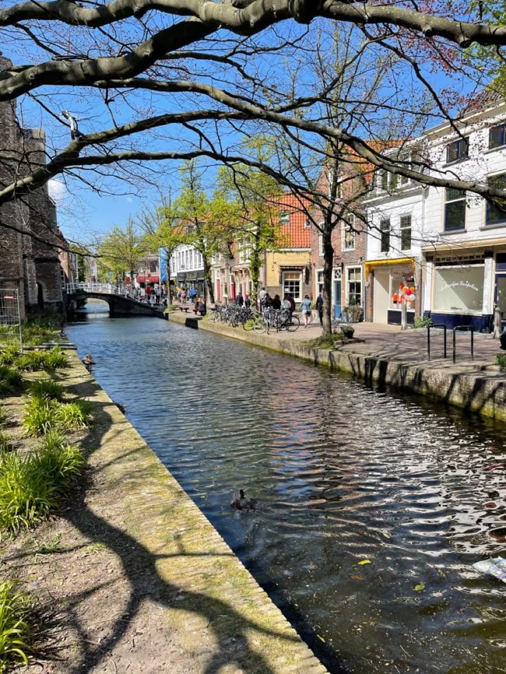 This may contain: a river running through a city next to tall buildings